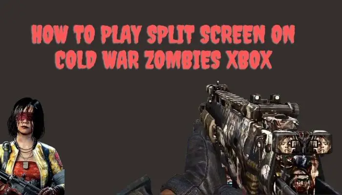 How to Play Split Screen on Cold War Zombies Xbox