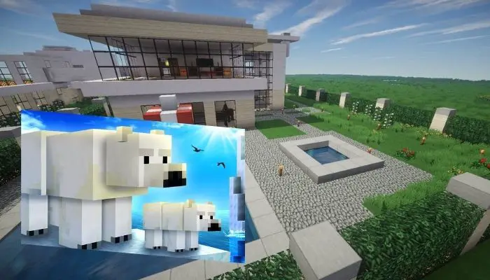 how to tame a polar bear in minecraft xbox one